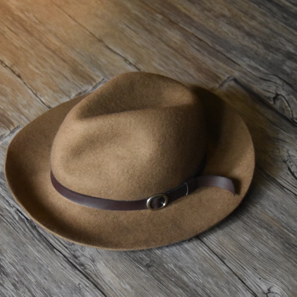 Gabriella Rocha Fedora Hat